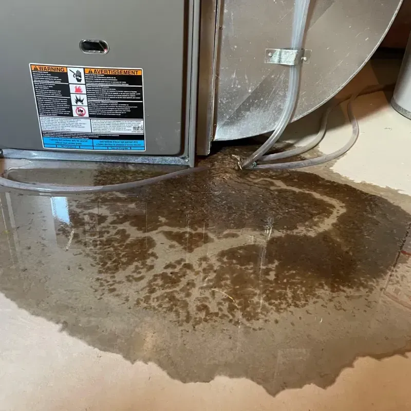 Appliance Leak Cleanup in Taylorsville, KY